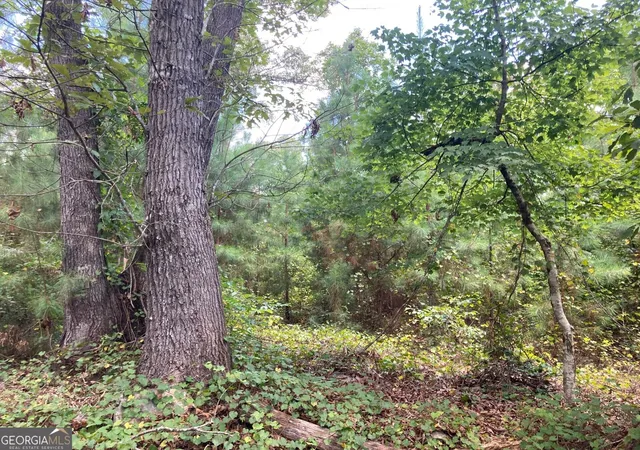 Photo 3 of Sale Pending at 0 Stark Rd, Jackson, GA 30233 | MLS# 10840868 | Listing updated on 2026-09-14