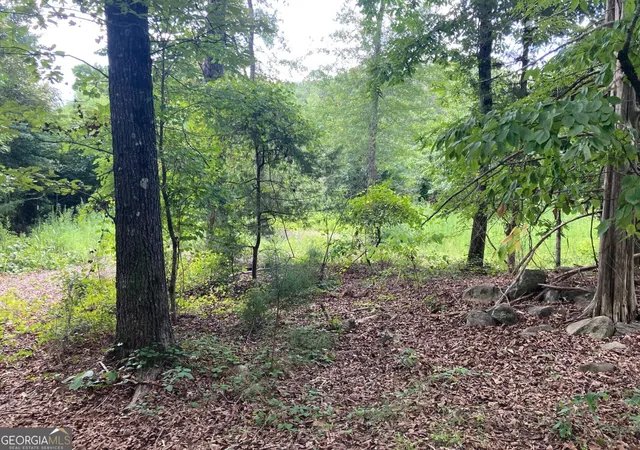 Photo 3 of Sale Pending at 0 Stark Rd, Jackson, GA 30233 | MLS# 10840868 | Listing updated on 2026-09-14