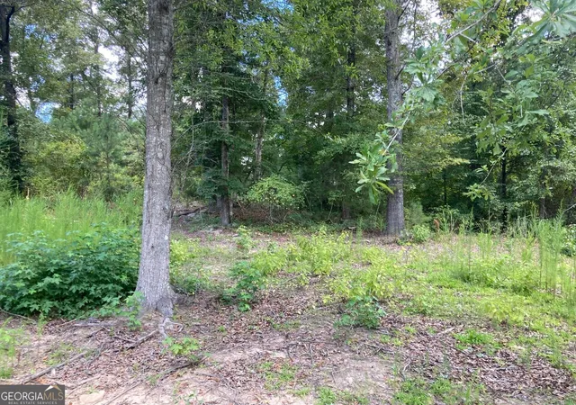 Photo 4 of Sale Pending at 0 Stark Rd, Jackson, GA 30233 | MLS# 10840868 | Listing updated on 2026-09-14