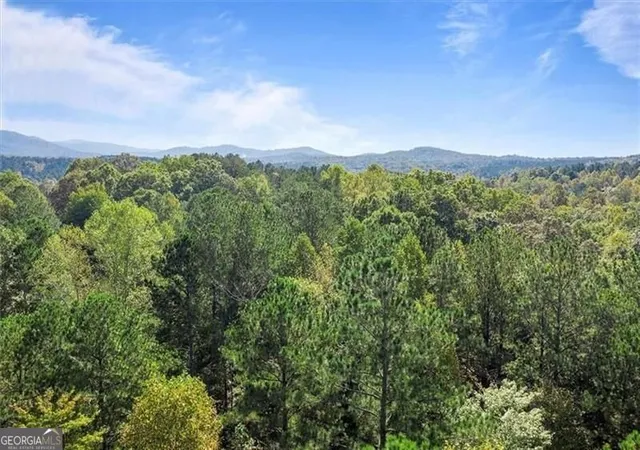 Photo 4 of Land for sale at 72 Mountain Crk Holw Dr, Talking Rock, GA 30175 | MLS# 10843788 | Listing updated on 2026-09-16
