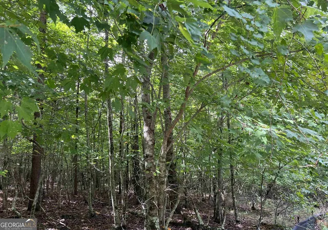 Photo 3 of Land for sale at Lot 187 Northshore Dr, Cleveland, GA 30528 | MLS# 10843937 | Listing updated on 2026-09-11