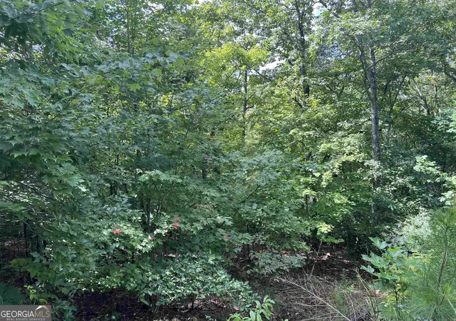Photo 3 of Land for sale at Lot 187 Northshore Dr, Cleveland, GA 30528 | MLS# 10843937 | Listing updated on 2026-10-10