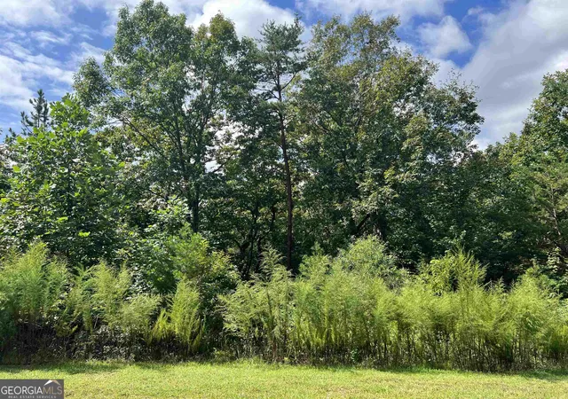 Photo 4 of Land for sale at Lot 187 Northshore Dr, Cleveland, GA 30528 | MLS# 10843937 | Listing updated on 2026-10-10
