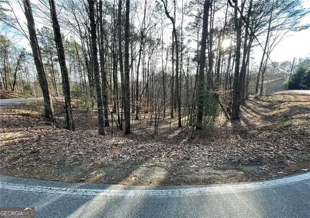 Photo 1 of Land for sale at 397em Lemmon Dr, Ellijay, GA 30540 | MLS# 10878554 | Listing updated on 2026-10-26