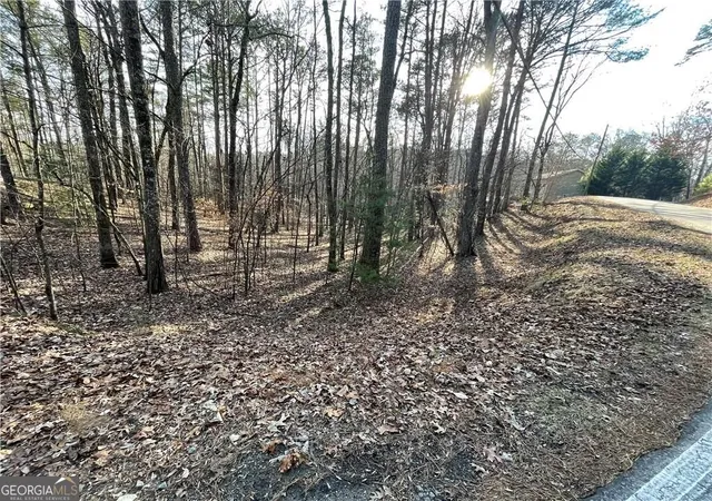 Photo 2 of Land for sale at 397em Lemmon Dr, Ellijay, GA 30540 | MLS# 10878554 | Listing updated on 2026-10-26
