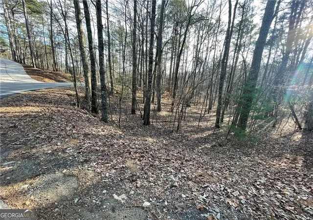 Photo 3 of Land for sale at 397em Lemmon Dr, Ellijay, GA 30540 | MLS# 10878554 | Listing updated on 2026-10-26