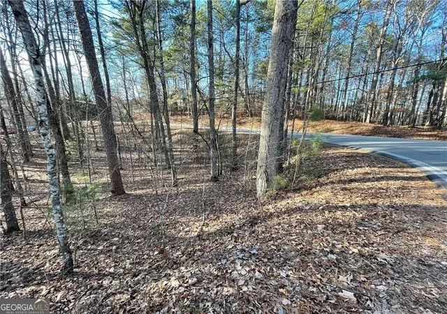 Photo 4 of Land for sale at 397em Lemmon Dr, Ellijay, GA 30540 | MLS# 10878554 | Listing updated on 2026-10-26