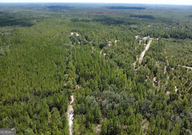 Photo 2 of Land for sale at Lot 1 Porter Rd, Pembroke, GA 31321 | MLS# 10841385 | Listing updated on 2026-09-07