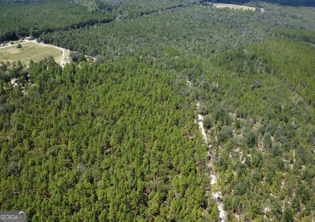 Photo 3 of Land for sale at Lot 1 Porter Rd, Pembroke, GA 31321 | MLS# 10841385 | Listing updated on 2026-09-07