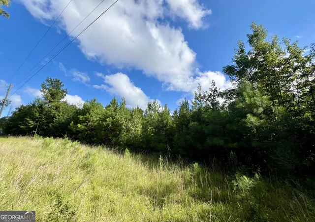 Photo 4 of Land for sale at 356 Sparta Hwy NE, Milledgeville, GA 31061 | MLS# 10838273 | Listing updated on 2026-09-16