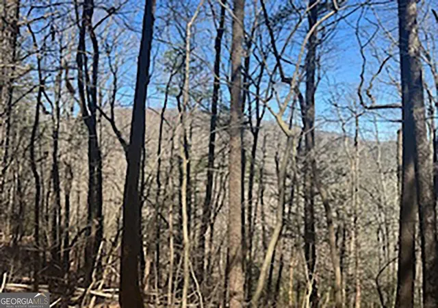 Land for sale at Lot 14 Butler Crk Rd, Cherry Log, GA 30522 | MLS# 10845760