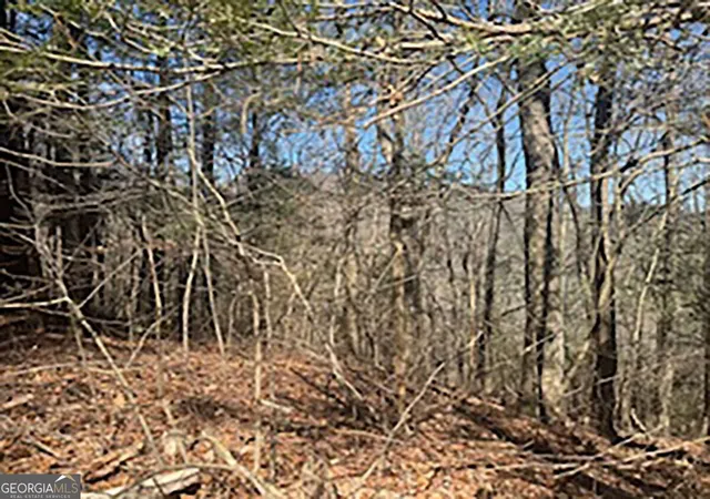 Photo 4 of Land for sale at Lot 14 Butler Crk Rd, Cherry Log, GA 30522 | MLS# 10845760 | Listing updated on 2026-09-28