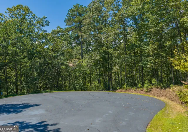 Photo 19 of Land for sale at Lts 205/206 Harris Ridge Dr, Ellijay, GA 30540 | MLS# 10838296 | Listing updated on 2026-09-02