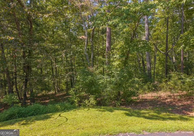 Photo 3 of Land for sale at Lts 205/206 Harris Ridge Dr, Ellijay, GA 30540 | MLS# 10838296 | Listing updated on 2026-09-16