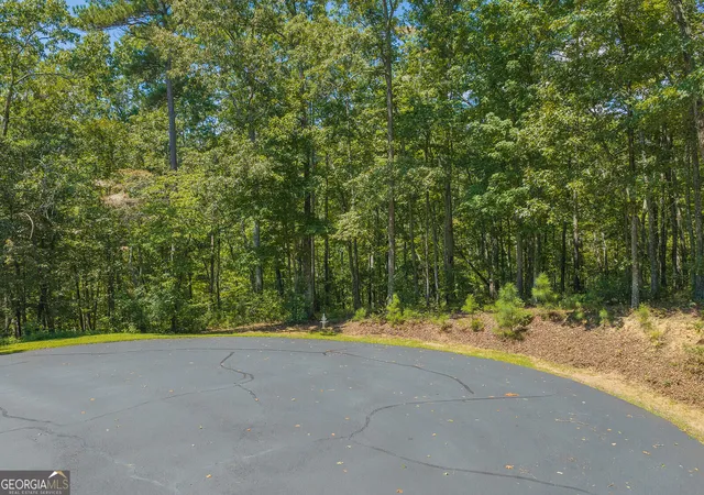 Photo 3 of Land for sale at Lts 205/206 Harris Ridge Dr, Ellijay, GA 30540 | MLS# 10838296 | Listing updated on 2026-09-16