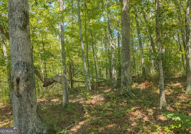Photo 4 of Land for sale at Lts 205/206 Harris Ridge Dr, Ellijay, GA 30540 | MLS# 10838296 | Listing updated on 2026-09-16