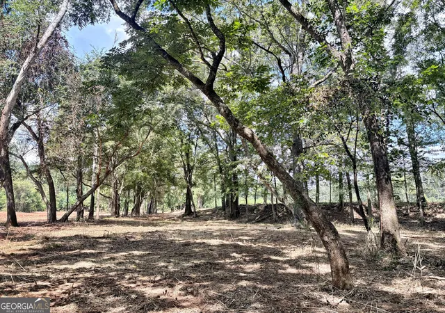 Photo 3 of Land for sale at 102 Yellow Crk Rd, Forsyth, GA 31029 | MLS# 10839268 | Listing updated on 2026-09-17