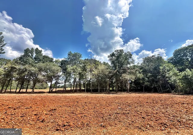 Photo 4 of Land for sale at 102 Yellow Crk Rd, Forsyth, GA 31029 | MLS# 10839268 | Listing updated on 2026-09-17