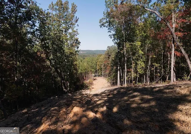 Photo 1 of Land for sale at 34 E Heritage Dr Ne, Rydal, GA 30171 | MLS# 10839428 | Listing updated on 2026-09-17