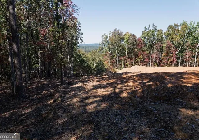 Photo 4 of Land for sale at 34 E Heritage Dr NE, Rydal, GA 30171 | MLS# 10839428 | Listing updated on 2026-09-17