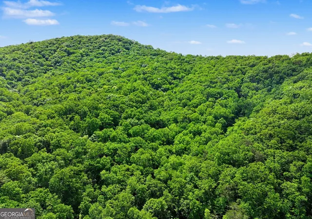 Photo 3 of Land for sale at 4 Acres Dancing Bear Trl, Clayton, GA 30525 | MLS# 10762658 | Listing updated on 2026-09-11