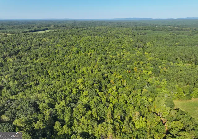 Photo 1 of Land for sale at 140 +/ Acres On Ga Hwy 100, Buchanan, GA 30113 | MLS# 10846761 | Listing updated on 2026-09-30