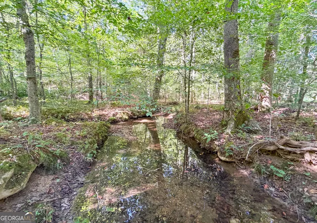 Photo 3 of Land for sale at 140 +/ Acres On Ga Hwy 100, Buchanan, GA 30113 | MLS# 10846761 | Listing updated on 2026-09-30