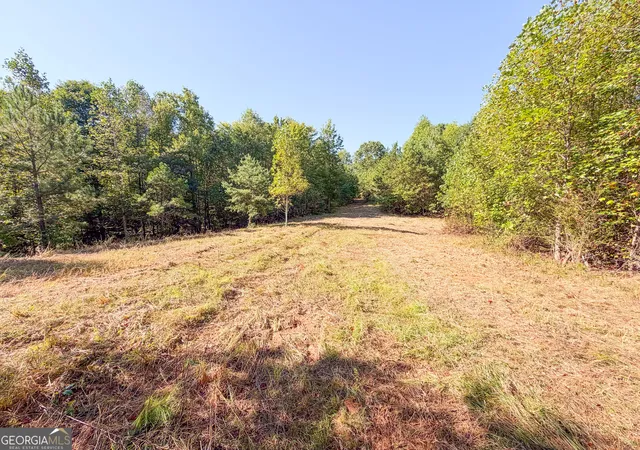 Photo 4 of House for sale at 140 +/ Acres On Ga Hwy 100, Buchanan, GA 30113 | MLS# 10846761 | Listing updated on 2026-09-30