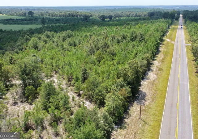 Photo 2 of Land for sale at 39317 Ronnie Rd, Buena Vista, GA 31803 | MLS# 10831499 | Listing updated on 2026-09-06