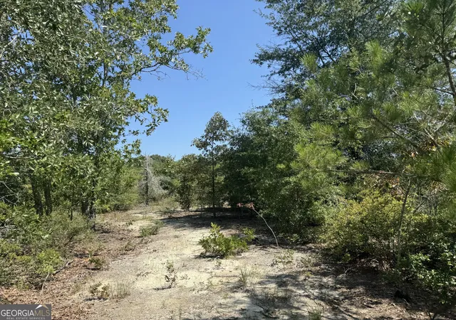 Photo 3 of Land for sale at 39317 Ronnie Rd, Buena Vista, GA 31803 | MLS# 10831499 | Listing updated on 2026-09-06