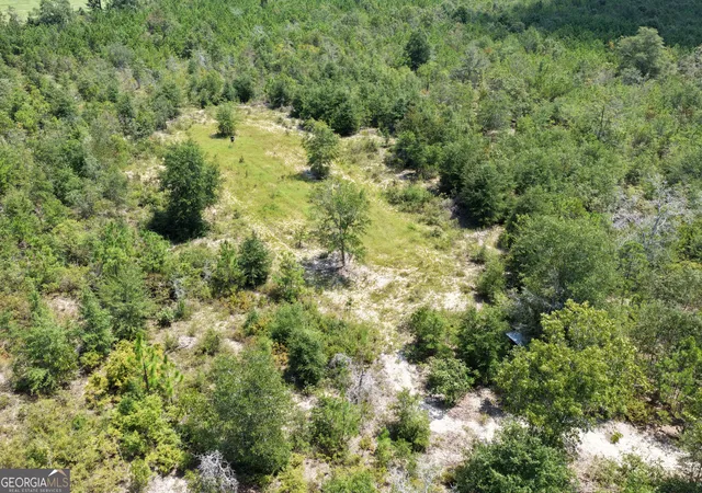 Photo 3 of Land for sale at 39317 Ronnie Rd, Buena Vista, GA 31803 | MLS# 10831499 | Listing updated on 2026-09-06