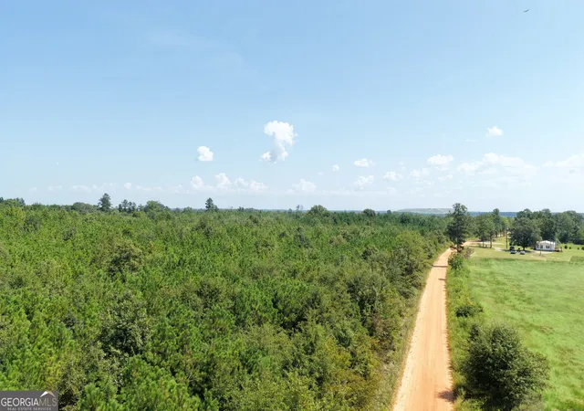 Photo 4 of Land for sale at 39317 Ronnie Rd, Buena Vista, GA 31803 | MLS# 10831499 | Listing updated on 2026-09-06
