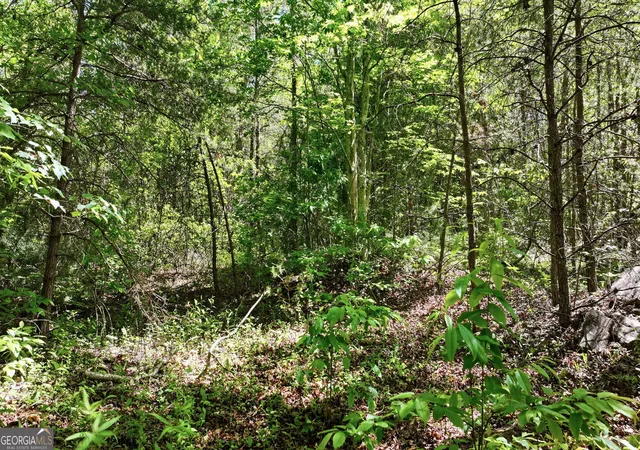 Photo 1 of Land for sale at 201 Spookhaven Ln, Clarkesville, GA 30523 | MLS# 10775537 | Listing updated on 2026-09-09