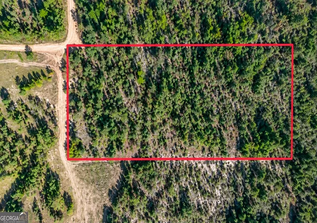Photo 3 of House for sale at 0 Black Crk Tr, Mauk, GA 31058 | MLS# 10879998 | Listing updated on 2026-10-28