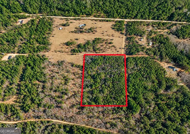 Photo 4 of House for sale at 0 Black Crk Tr, Mauk, GA 31058 | MLS# 10879998 | Listing updated on 2026-10-28
