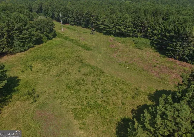 Land for sale at 301 Dub Walker Rd, Jackson, GA 30233 | MLS# 10844500