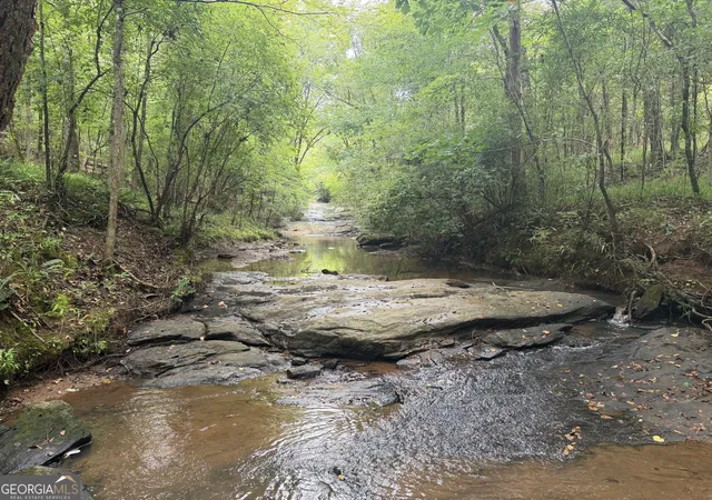 Photo 1 of Land for sale at 301 Dub Walker Rd, Jackson, GA 30233 | MLS# 10844500 | Listing updated on 2026-09-14