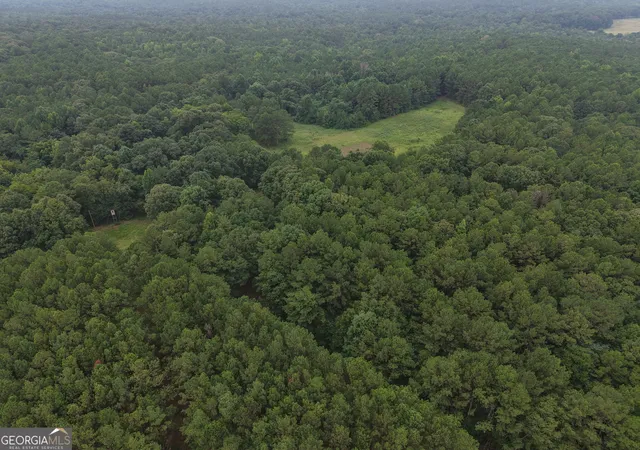 Photo 2 of Land for sale at 301 Dub Walker Rd, Jackson, GA 30233 | MLS# 10844500 | Listing updated on 2026-09-14