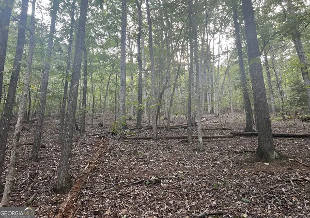 Photo 1 of Land for sale at 0 Rockfence Rd, Adairsville, GA 30103 | MLS# 10850626 | Listing updated on 2026-10-06
