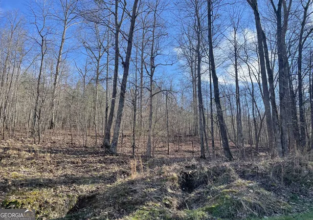 Photo 2 of Land for sale at 0 Rockfence Rd, Adairsville, GA 30103 | MLS# 10850626 | Listing updated on 2026-10-06