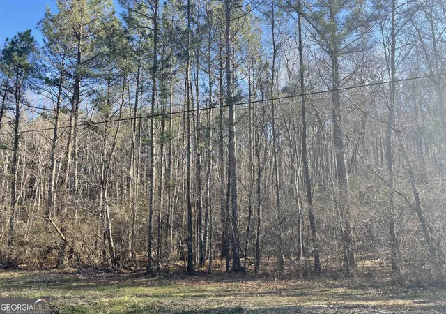 Photo 3 of Land for sale at 0 Rockfence Rd, Adairsville, GA 30103 | MLS# 10850626 | Listing updated on 2026-10-06