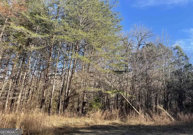 Photo 4 of Land for sale at 0 Rockfence Rd, Adairsville, GA 30103 | MLS# 10850626 | Listing updated on 2026-10-06