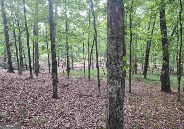 Photo 3 of Land for sale at 1100 Centennial Post, Greensboro, GA 30642 | MLS# 10850085 | Listing updated on 2026-10-05