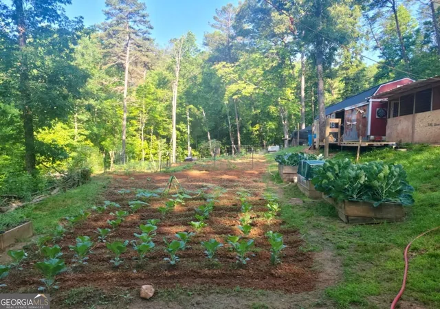 Photo 3 of House for sale at 235 Chadwick Rd, Ellijay, GA 30536 | MLS# 10879390 | Listing updated on 2026-10-26
