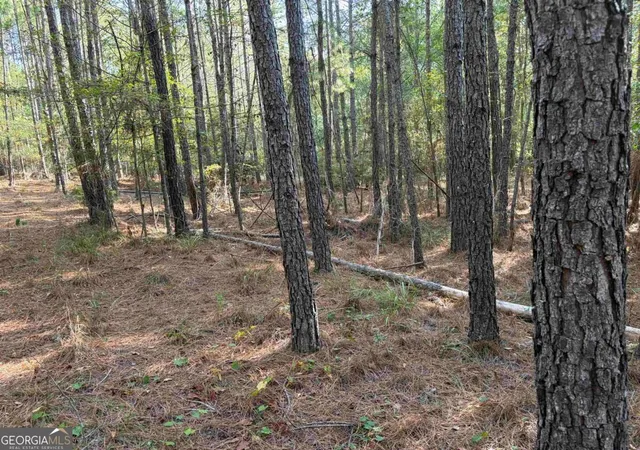 Photo 1 of Land for sale at 672 Twin Bridges Rd, Eatonton, GA 31024 | MLS# 10846211 | Listing updated on 2026-09-30