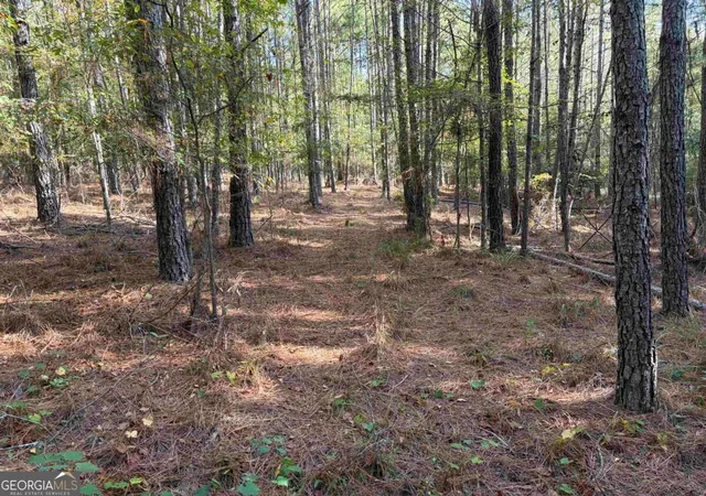 Photo 2 of Land for sale at 672 Twin Bridges Rd, Eatonton, GA 31024 | MLS# 10846211 | Listing updated on 2026-09-30