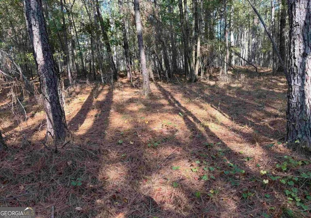 Photo 3 of Land for sale at 672 Twin Bridges Rd, Eatonton, GA 31024 | MLS# 10846211 | Listing updated on 2026-09-30