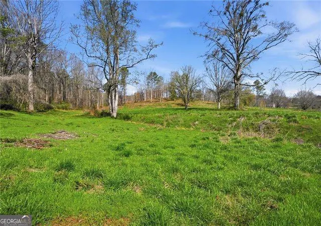Photo 3 of Land for sale at 2201 Long Rd, Ball Ground, GA 30107 | MLS# 10849935 | Listing updated on 2026-10-05