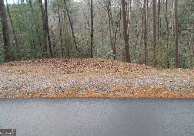 Land for sale at 0 Bahn Innsbruck, Helen, GA 30545 | MLS# 10848153