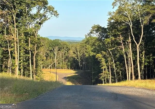 Photo 2 of Land for sale at Lot 4 Norton Ridge, Dahlonega, GA 30533 | MLS# 10838922 | Listing updated on 2026-09-03